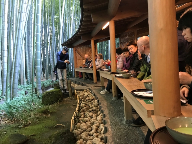Чайная церемония в бамбуковой роще, Япония